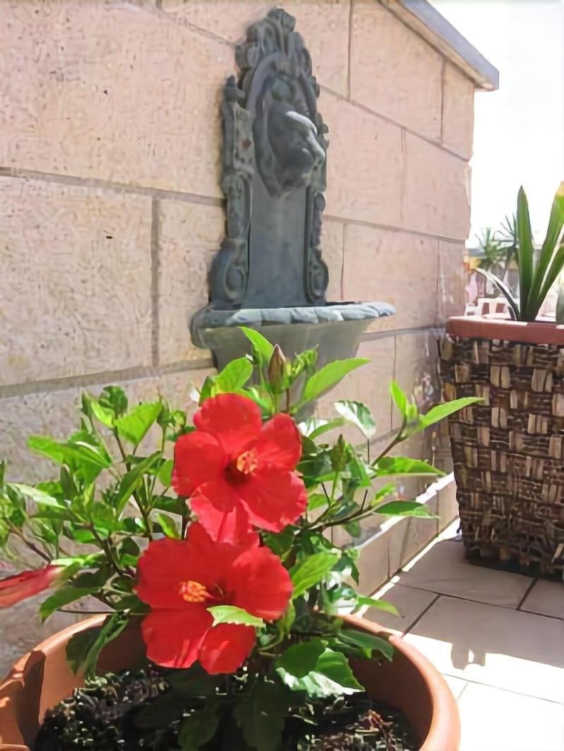 Hotel Garden Viareggio Eksteriør bilde