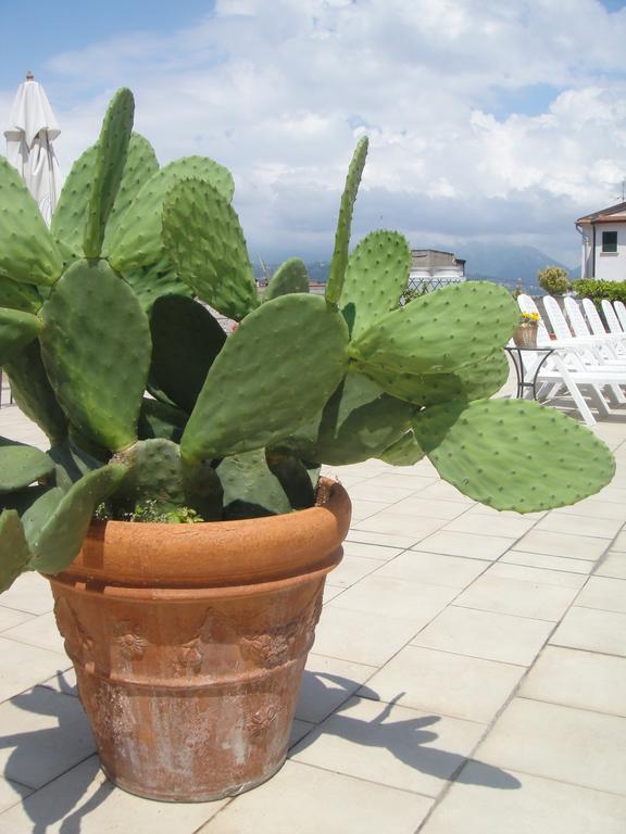 Hotel Garden Viareggio Eksteriør bilde